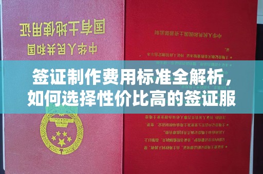 惠州签证制作费用标准全解析，如何选择性价比高的签证服务？